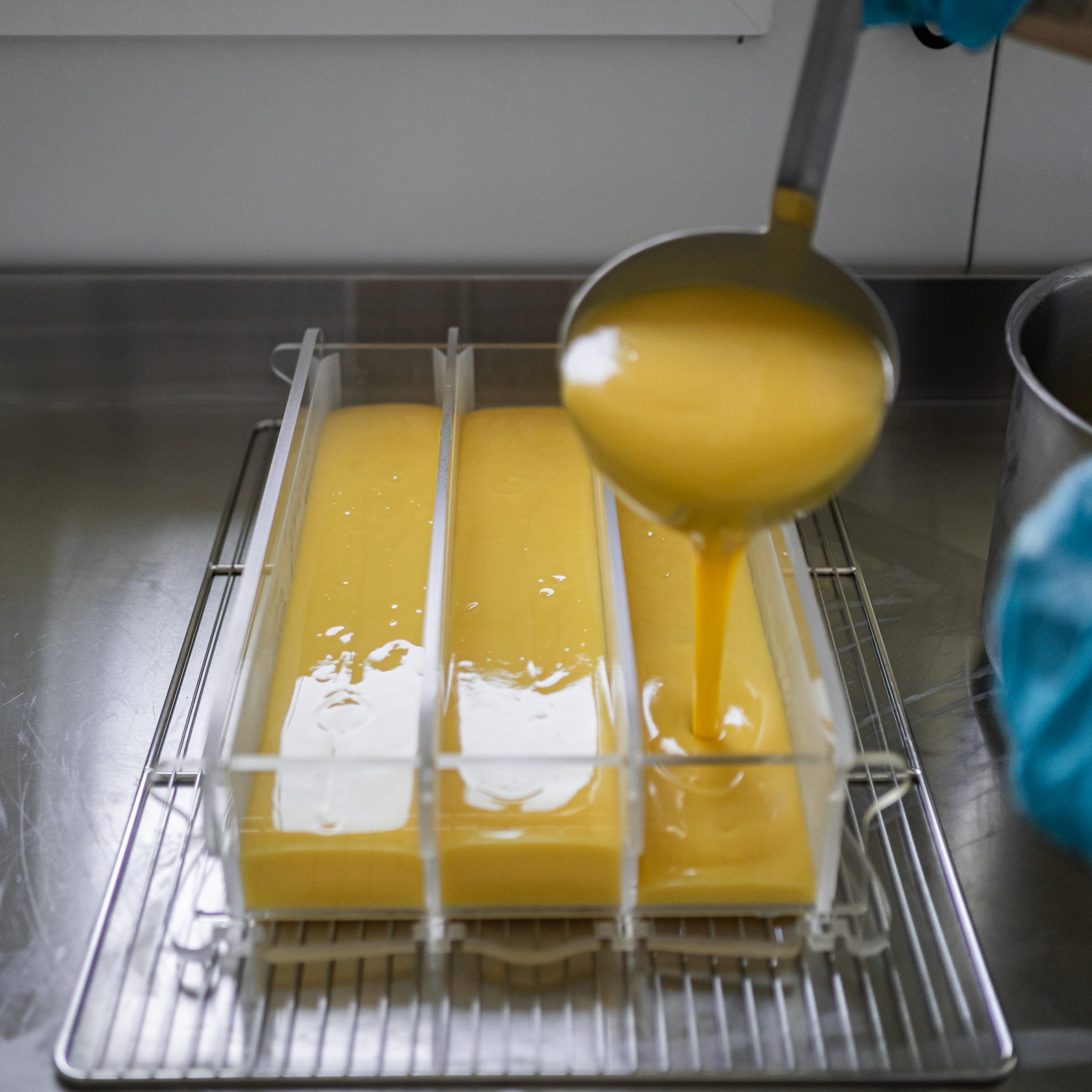 LA JUMENTERIE DE CORNOUAILLE