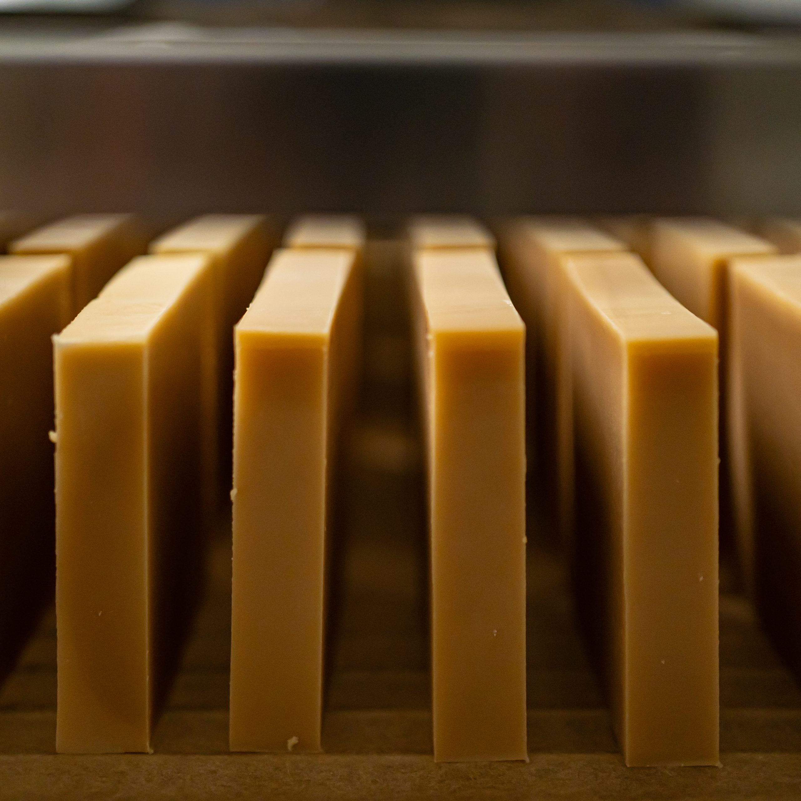 LA JUMENTERIE DE CORNOUAILLE