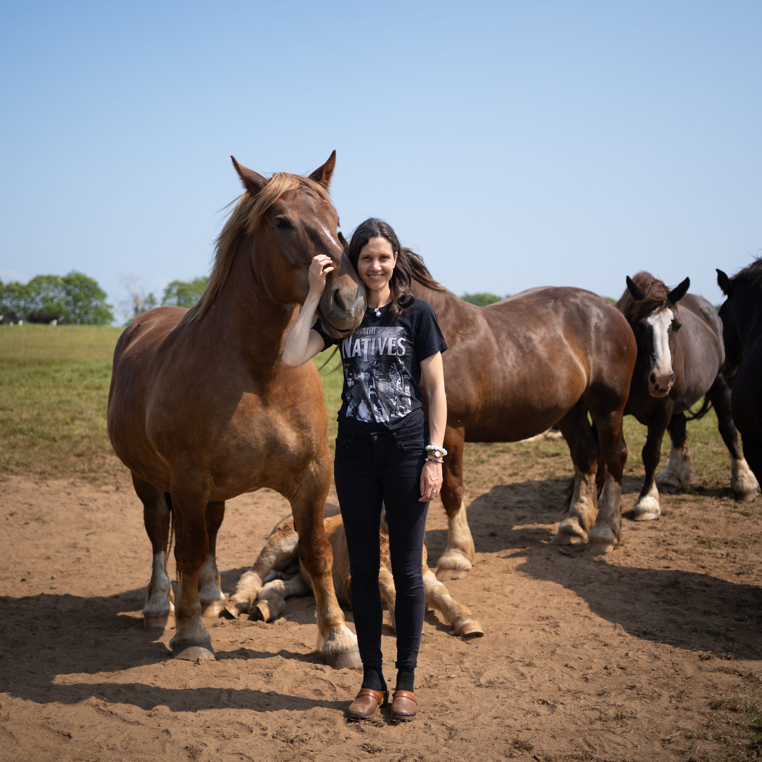 LA JUMENTERIE DE CORNOUAILLE